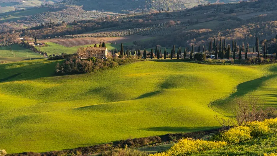 Spiaggia di San Vincenzo con mare cristallino e vegetazione