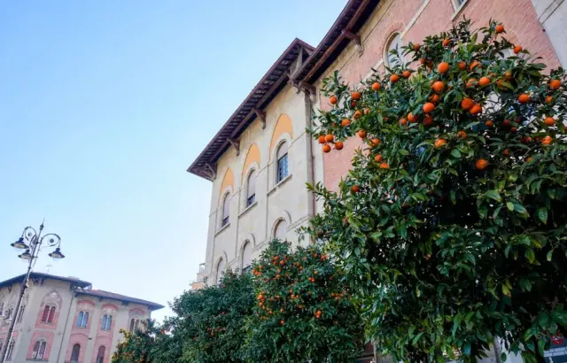 Cosa vedere a Bagni di Lucca: consigli e itinerario