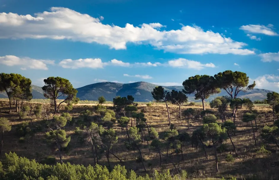 Il Parco Archeologico di Cortona
