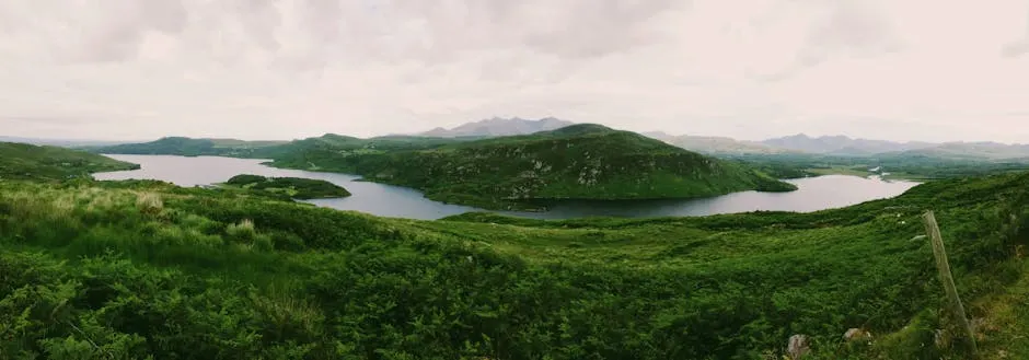 Eventi e manifestazioni