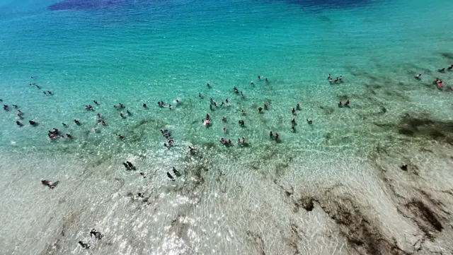 Forte Dei Marmi e i segreti del mare cristallino