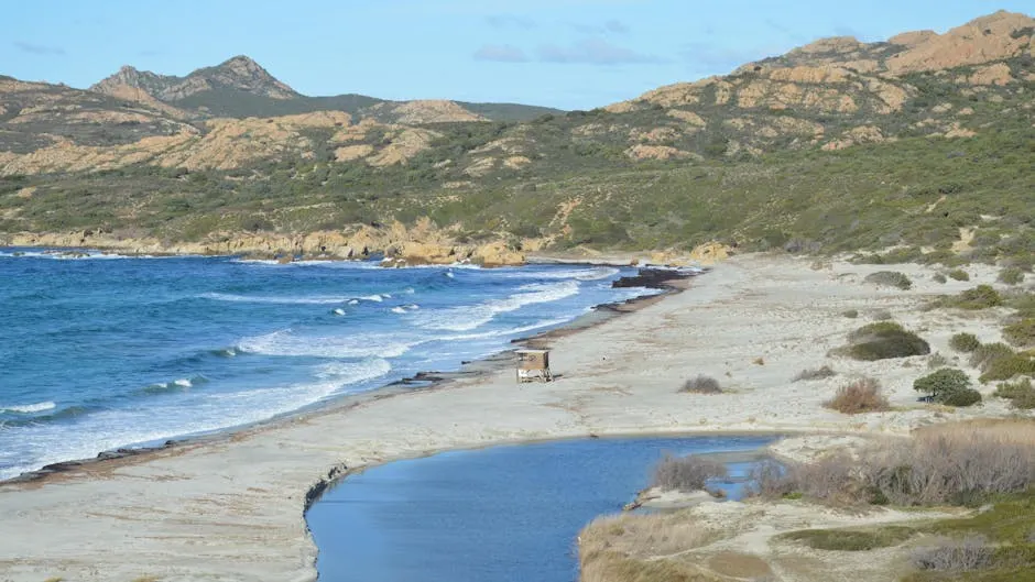 Mercati locali e artigianato