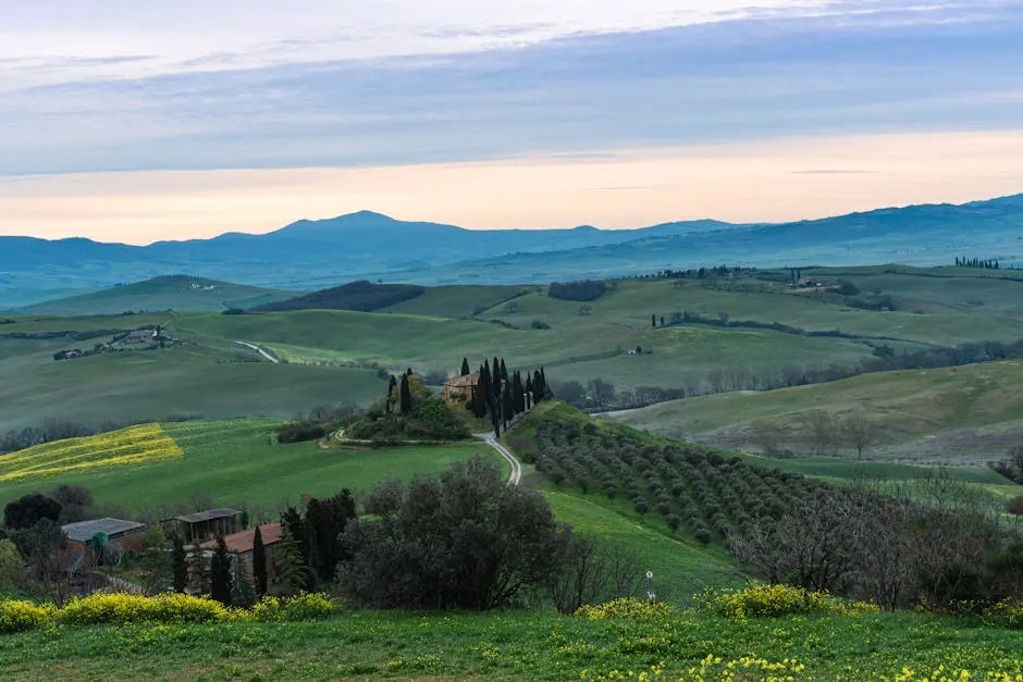 Vista della spiaggia di Pietrasanta con ombrelloni e mare cristallino.