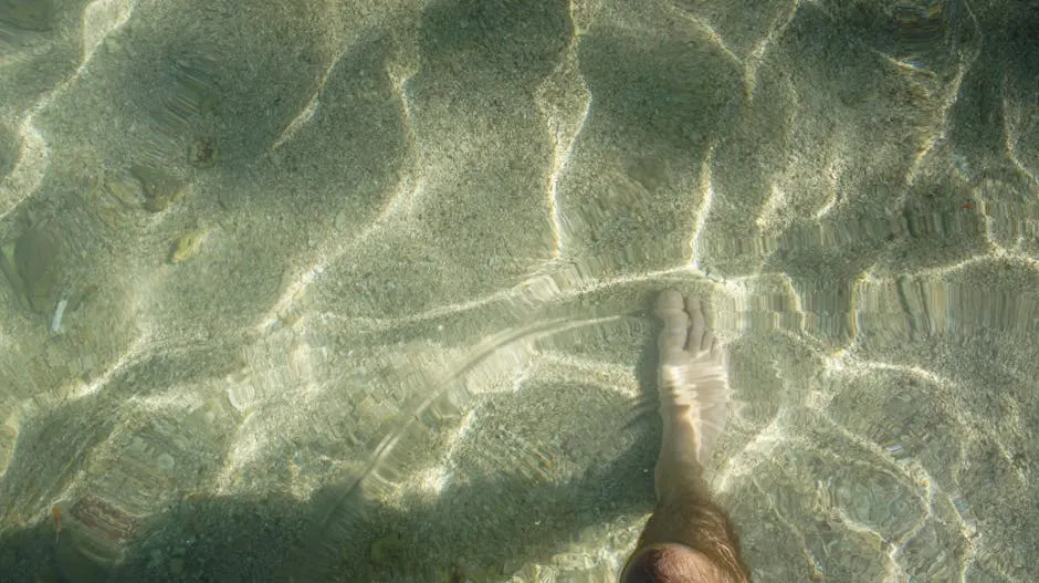 Eventi e manifestazioni