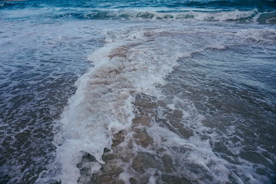 Pianificazione logistica: come organizzare la tua visita