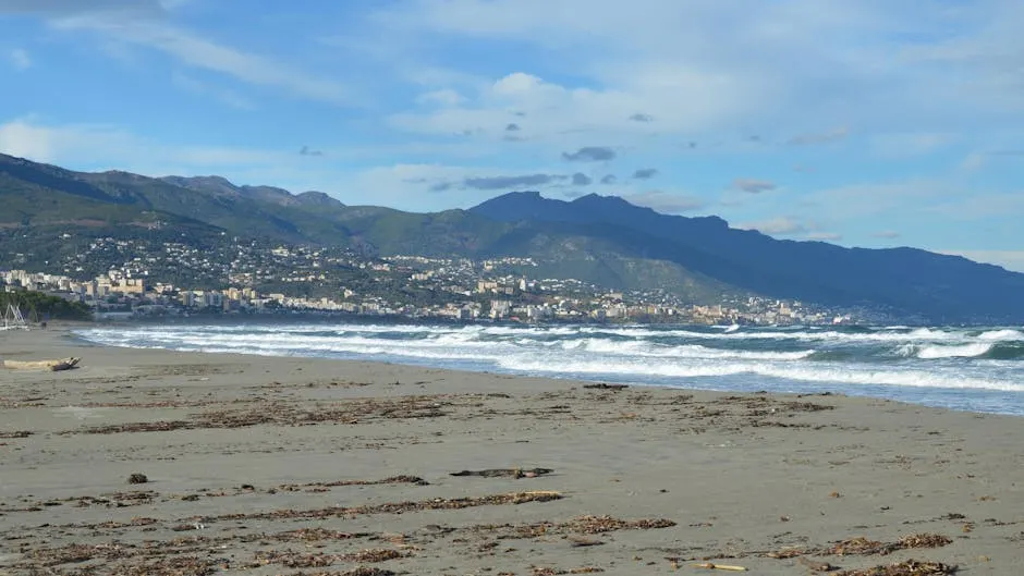 Vita notturna e intrattenimento